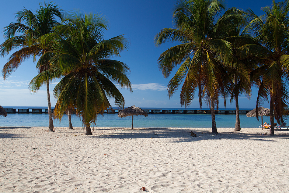 ZAPATA CIENAGA (Matanzas)