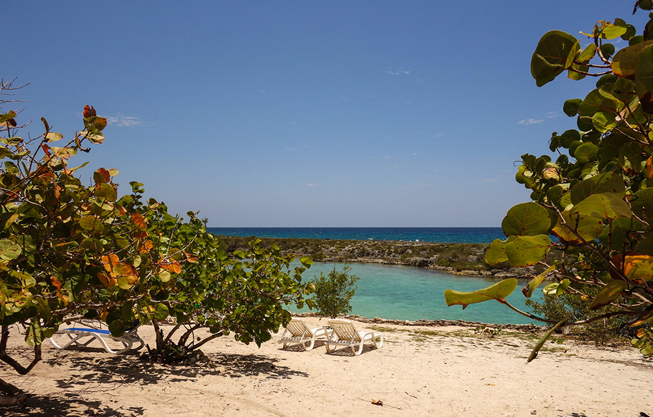 ZAPATA CIENAGA (Matanzas)