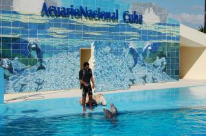 Aquarium of Cuba, Havana