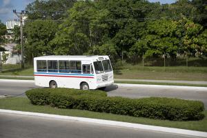 Urban public buses