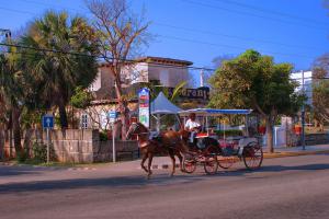 Horse-Drawn Carriage in Cuba