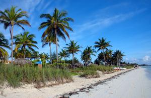 Beaches in Cayo Guillermo