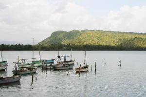 Miel River, Baracoa